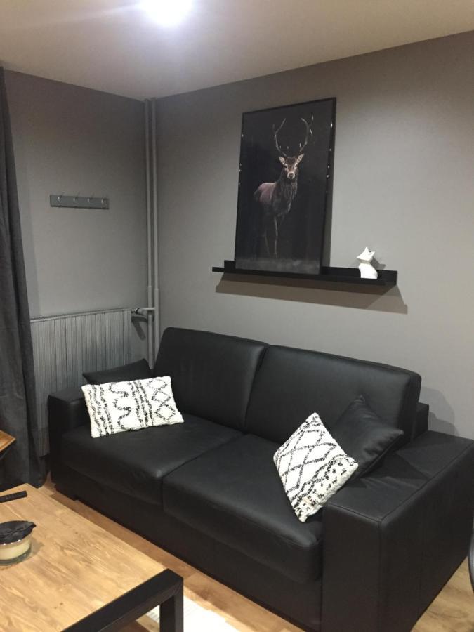 Le Paradis Du Diable 6 Pers 40M2 Pied Des Pistes Et Du Telesiege Du Diable 莱德萨阿尔卑斯 外观 照片